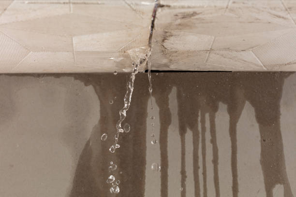 Professional Water Damage Restoration technician working in Edgefield, SC